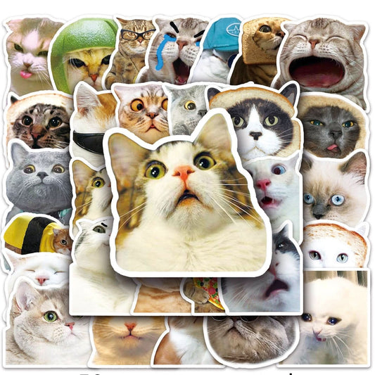 929 Cat Emoji Stickers Lucky Color Pick in Livestream